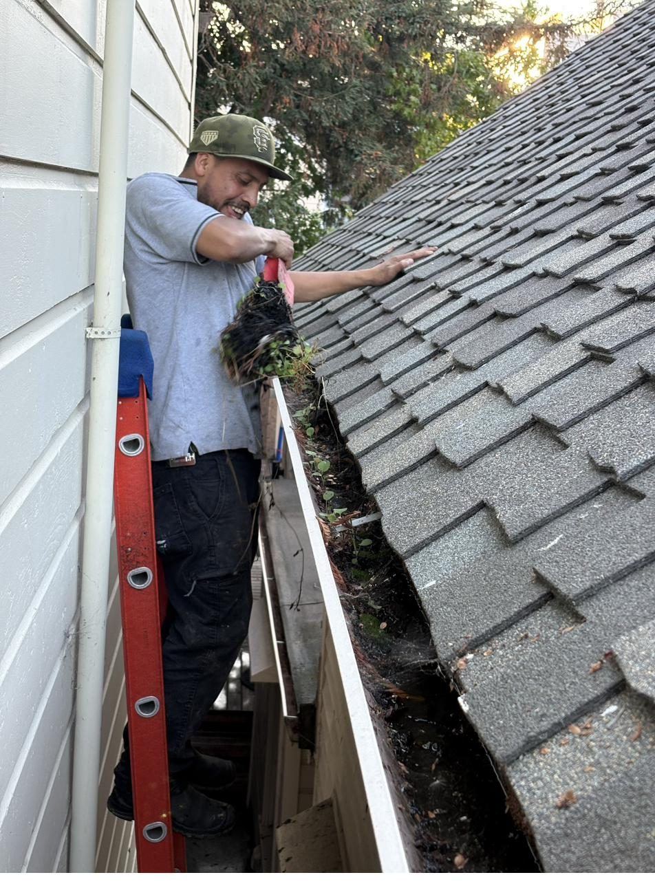 Gutter being cleared by hand on a Peninsula home before the winter rains