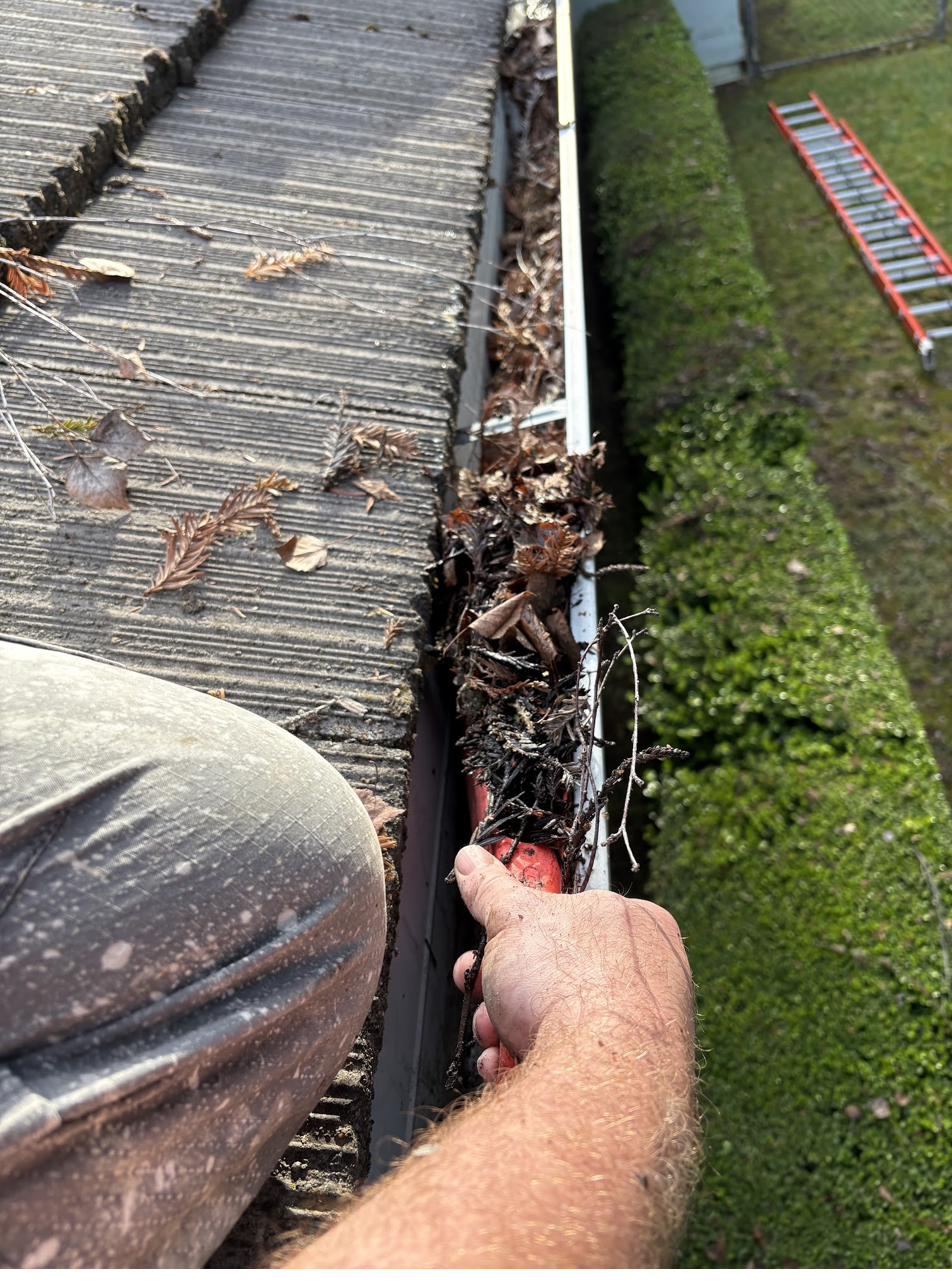 Technician hand-clearing leaf and needle debris from a gutter in Los Altos Hills, CA