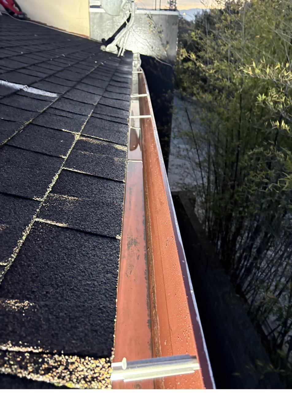 Gutter along a shingle roof cleared of pine needles and debris in Redwood City, CA