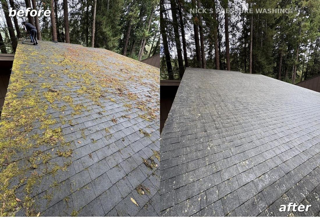 Before and after soft wash moss removal from a shingle roof on the SF Peninsula