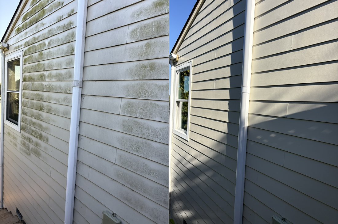 Before and after house washing removing green algae from lap siding in Hillsborough, CA