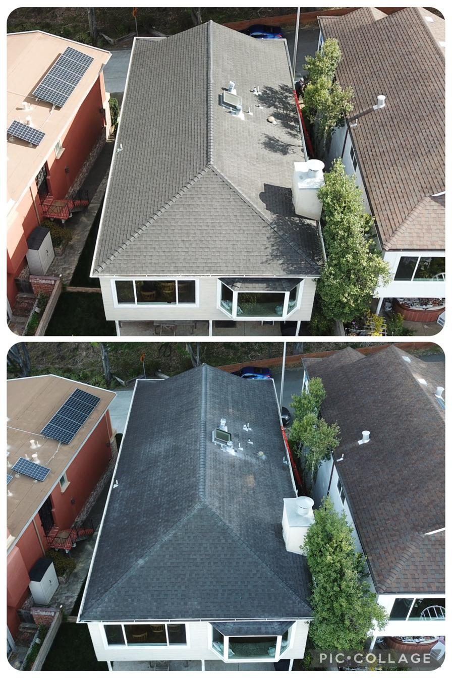 Tile roof soft washing before and after — moss removal without high pressure