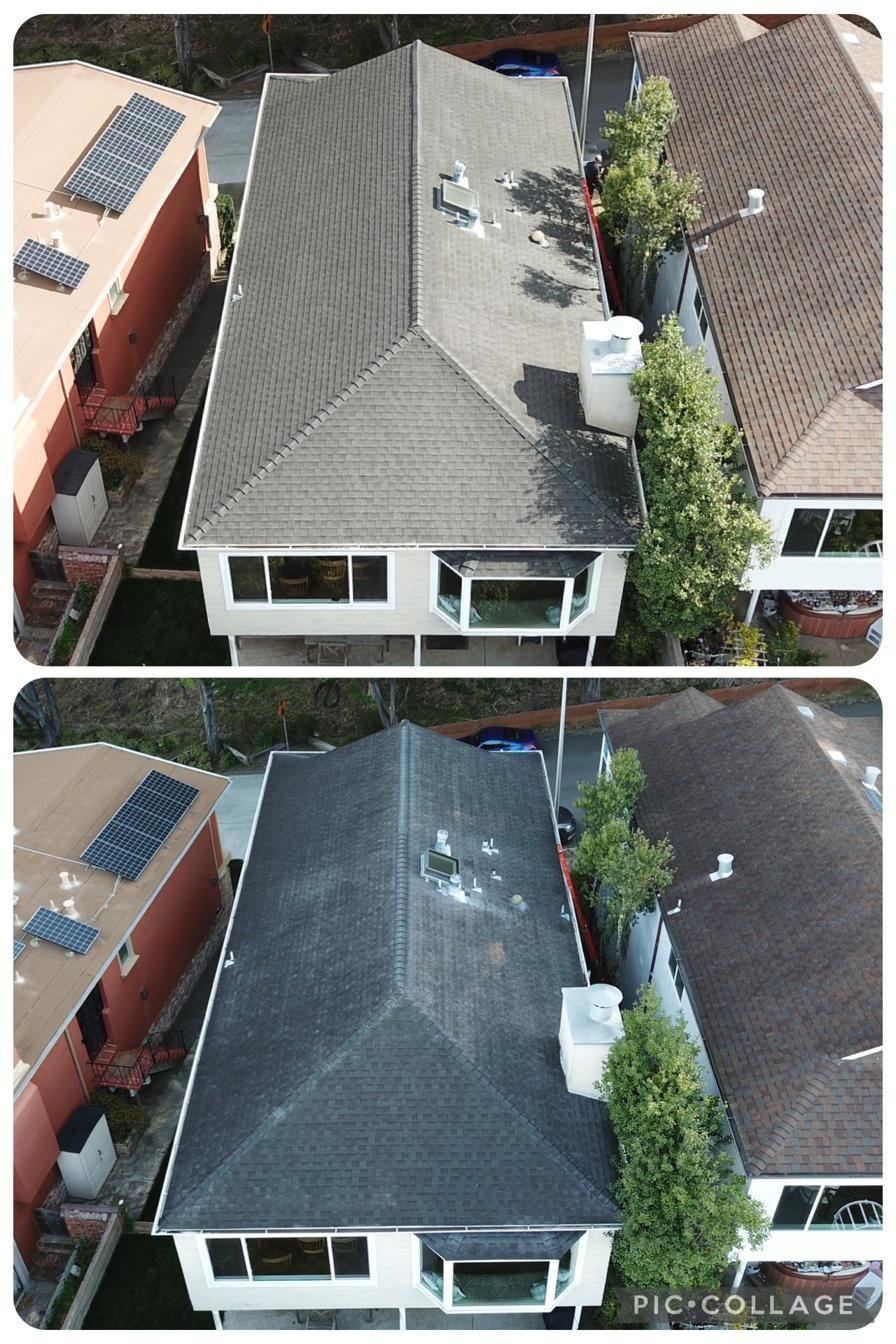Tile roof before and after professional soft washing on a Peninsula home